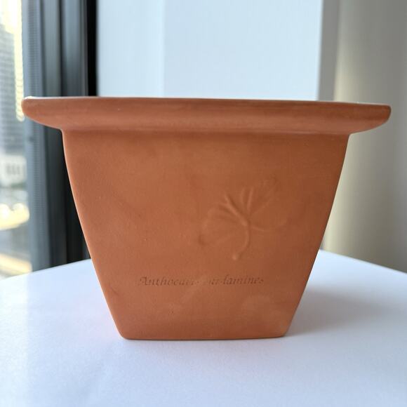 Wedgwood 'Sarah's Garden' Pot Terracotta & Green Small Plant Pot Planter Garden - Picture 3 of 8